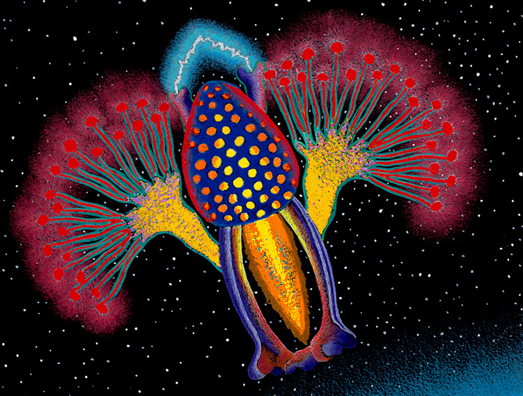 Cody Riddle Ship Shape